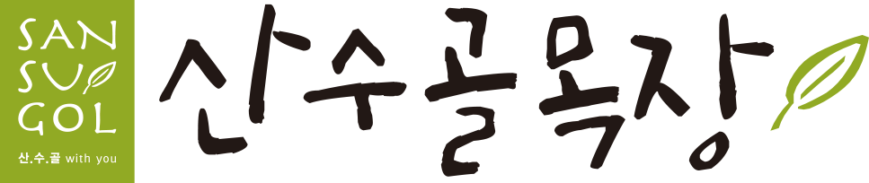 산수골목장